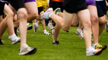 Cross Country Running