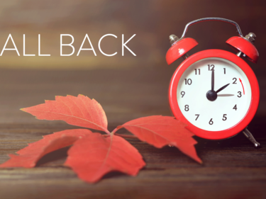 Fall Back Daylight Savings Time