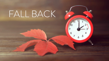 Fall Back Daylight Savings Time