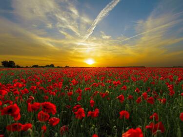 Remembrance Day sunrise sunset service