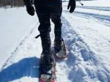 Snowshoeing