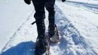 Snowshoeing